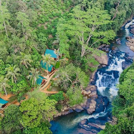 The Rainforest Hideaway 데니야야 외부 사진