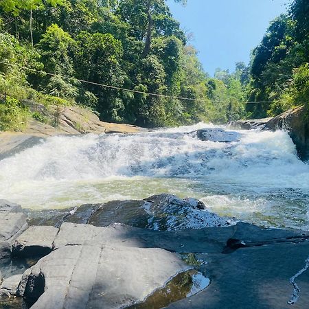 The Rainforest Hideaway 데니야야 외부 사진