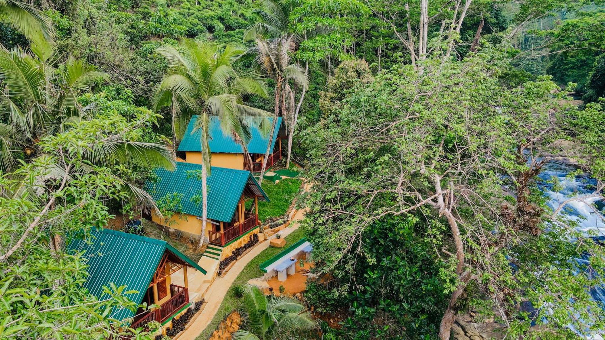 The Rainforest Hideaway 데니야야 외부 사진