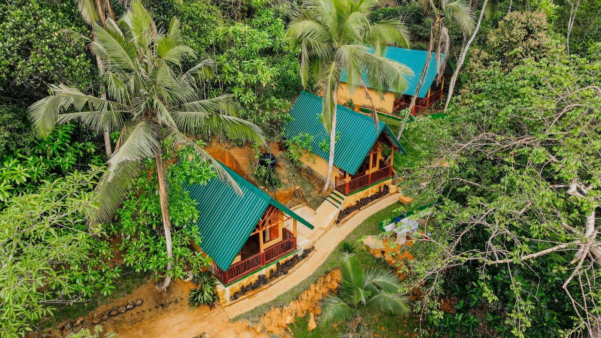 The Rainforest Hideaway 데니야야 외부 사진