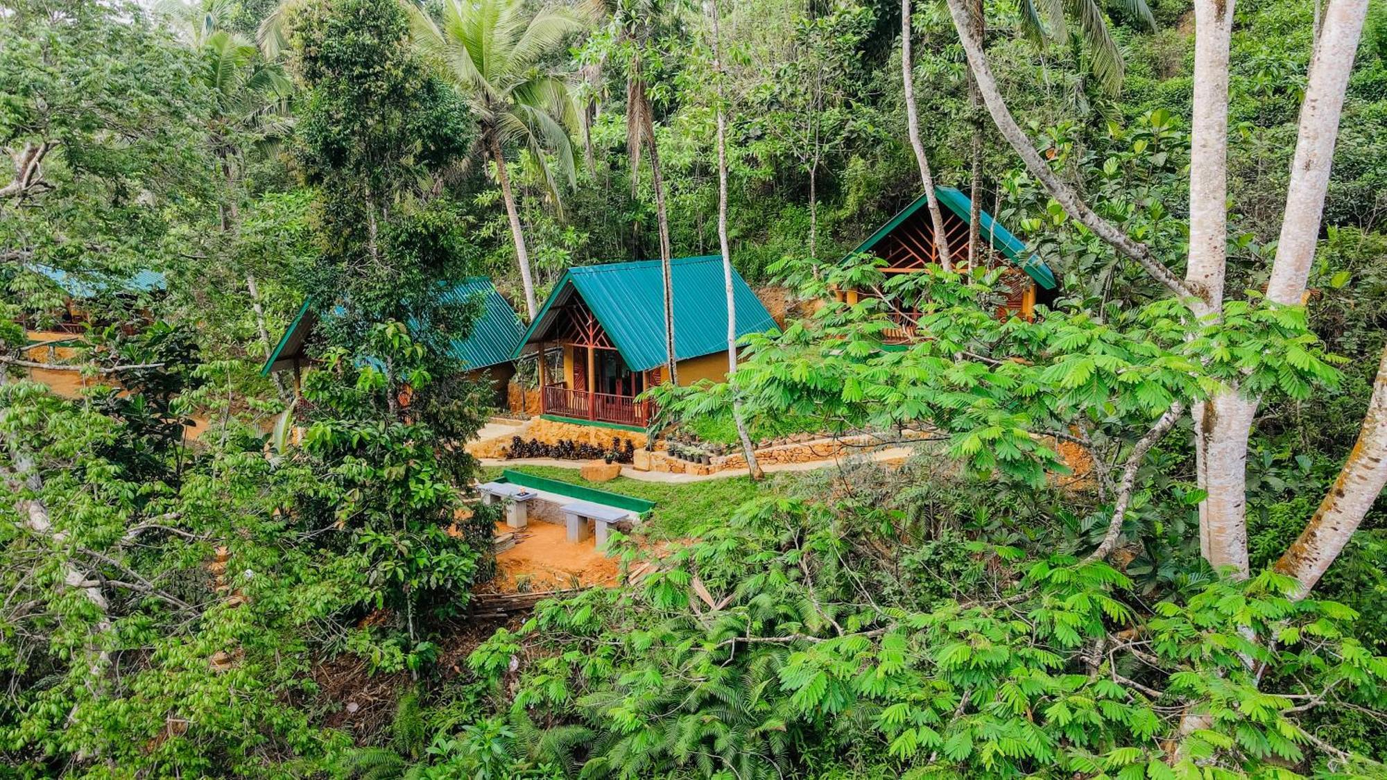 The Rainforest Hideaway 데니야야 외부 사진