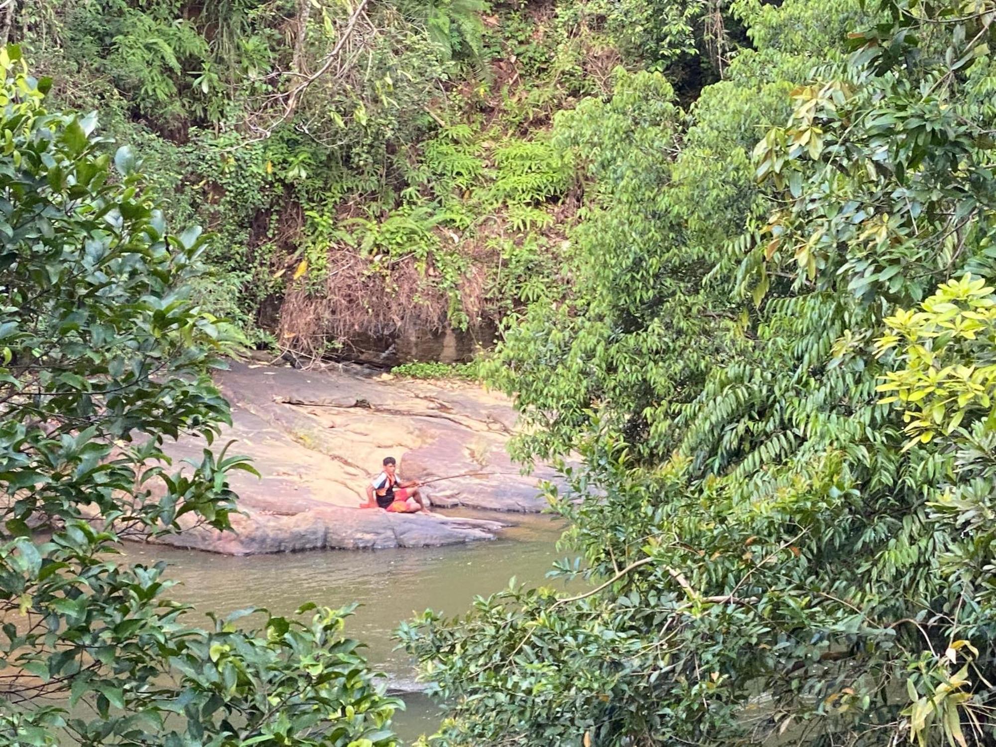 The Rainforest Hideaway 데니야야 외부 사진