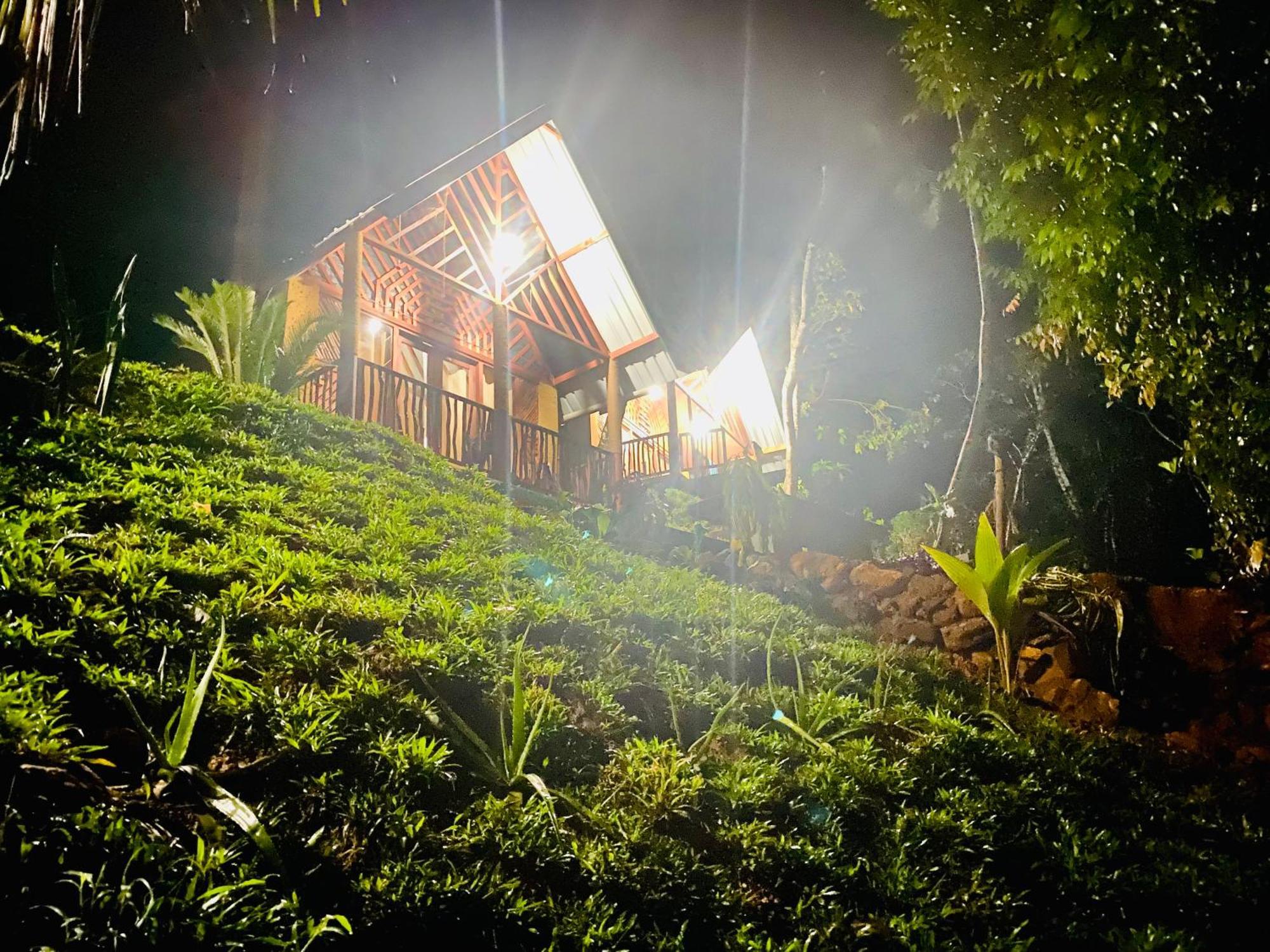 The Rainforest Hideaway 데니야야 외부 사진