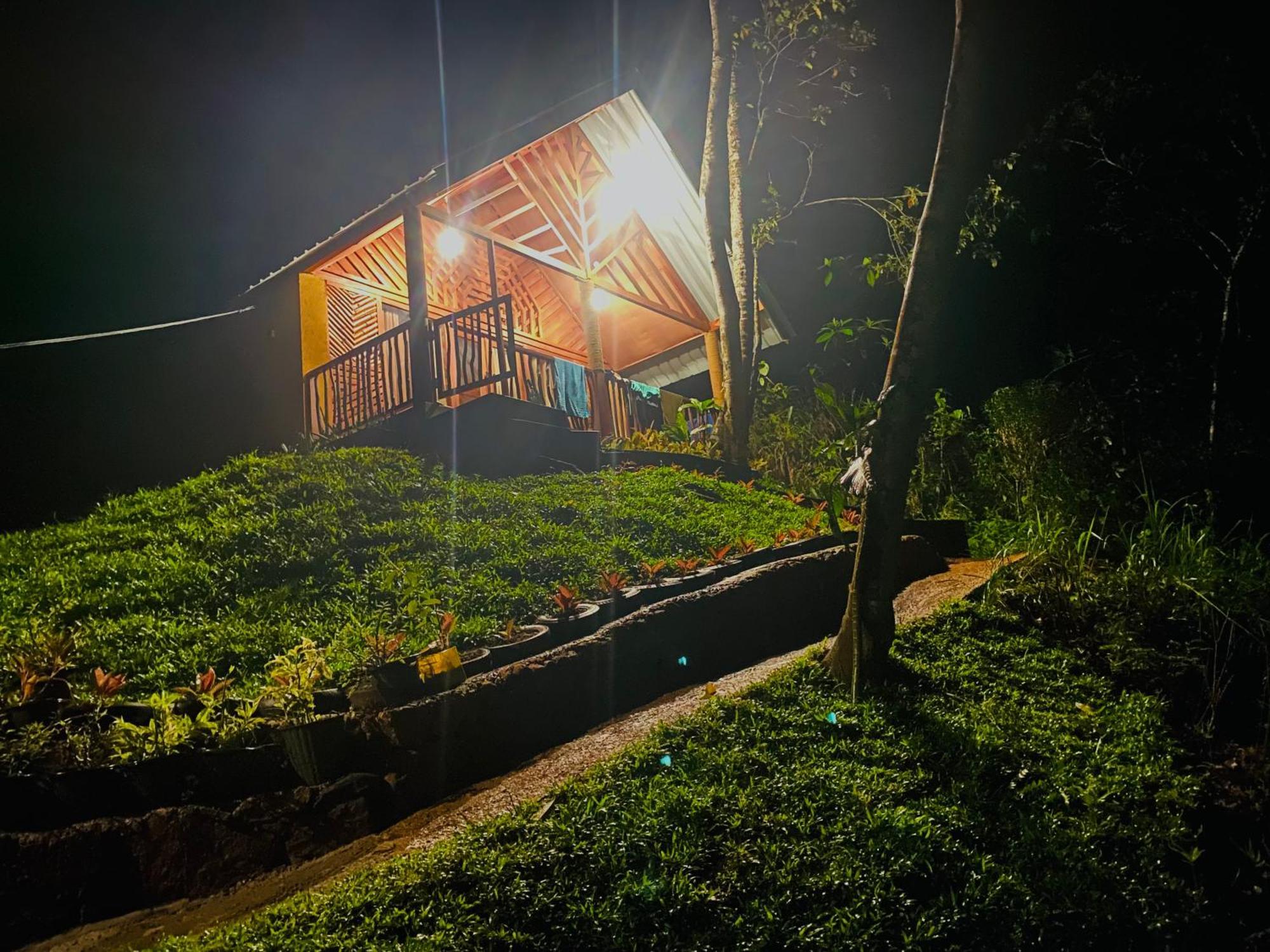 The Rainforest Hideaway 데니야야 외부 사진