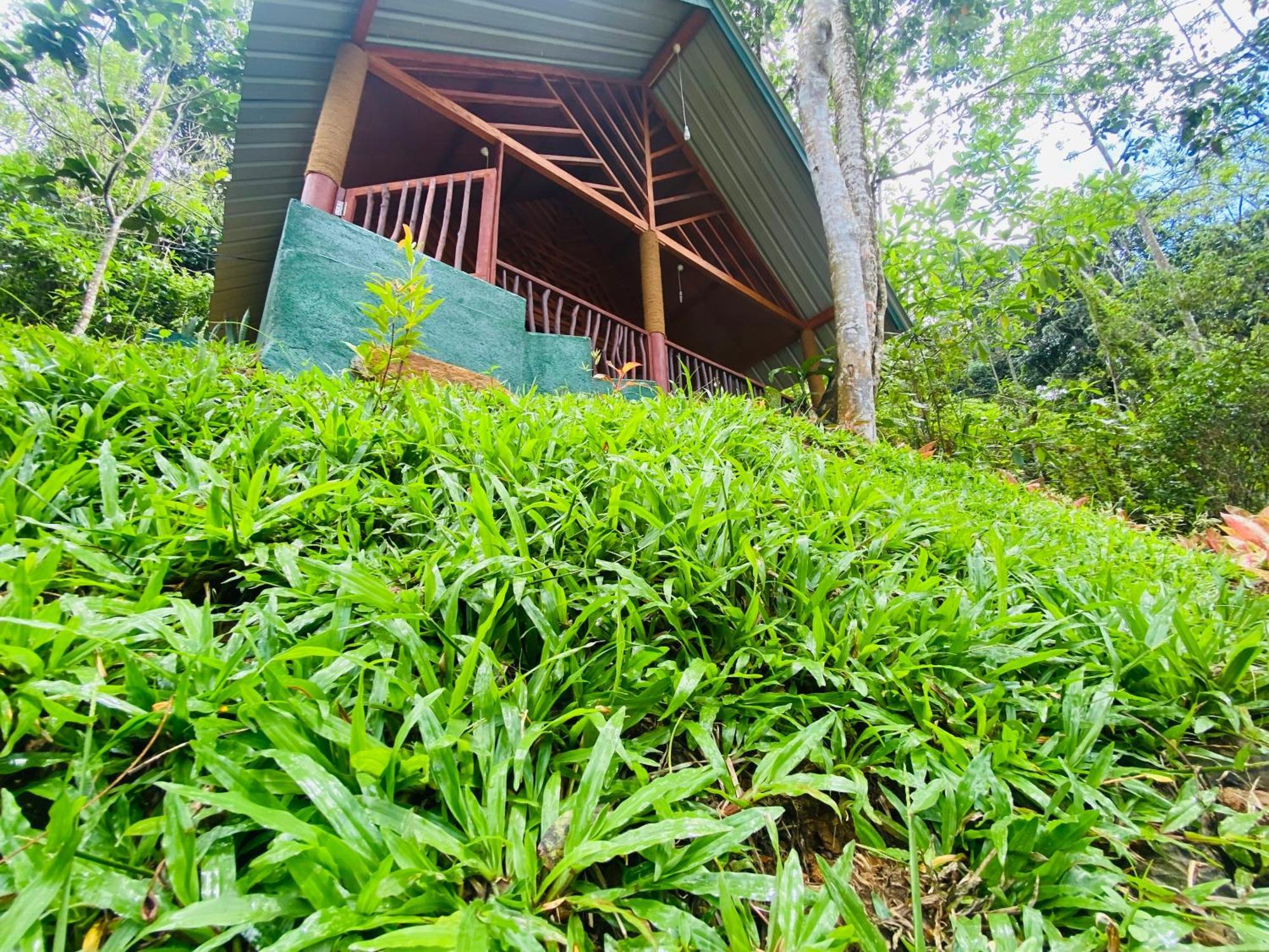 The Rainforest Hideaway 데니야야 외부 사진