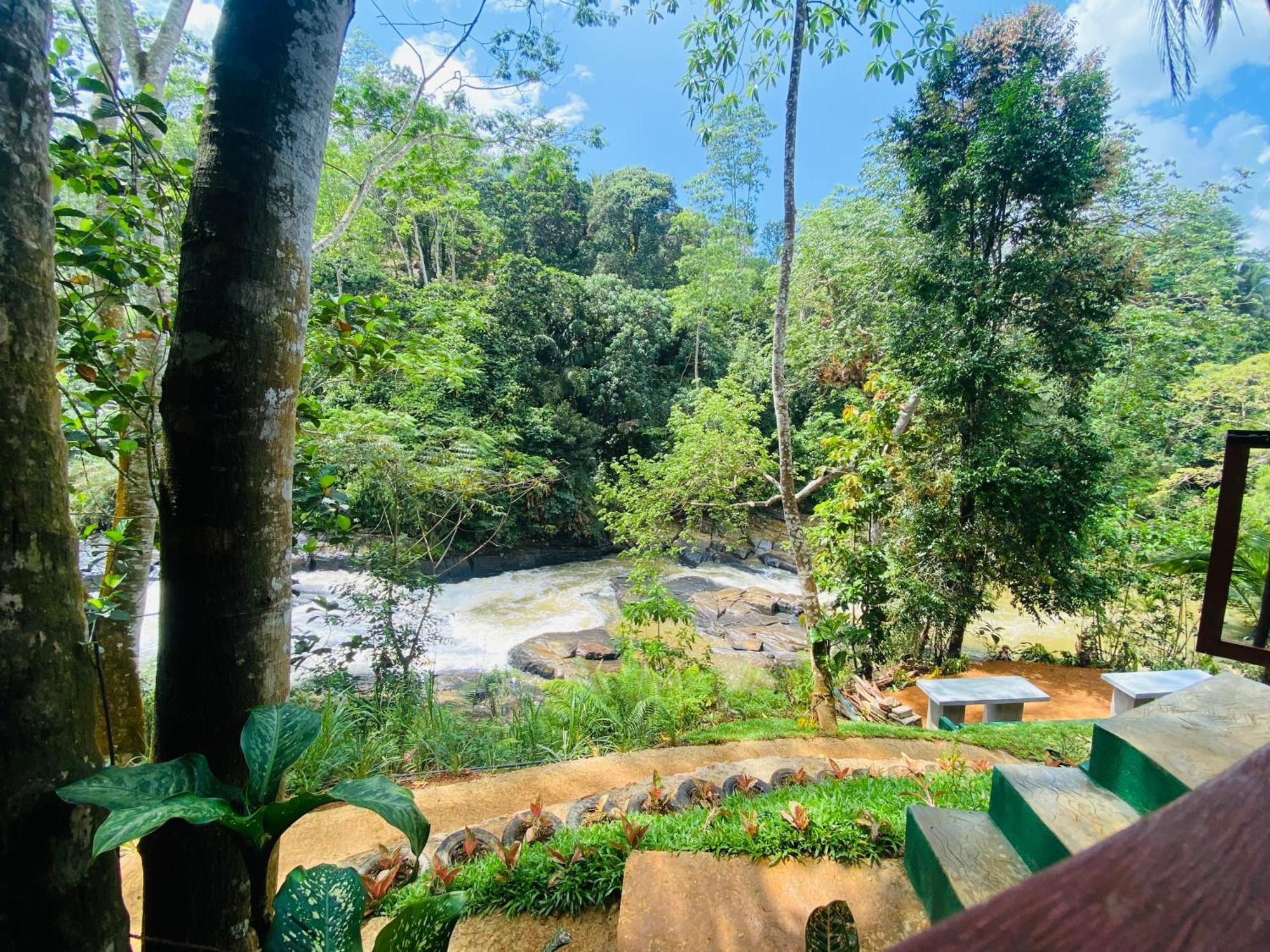 The Rainforest Hideaway 데니야야 외부 사진