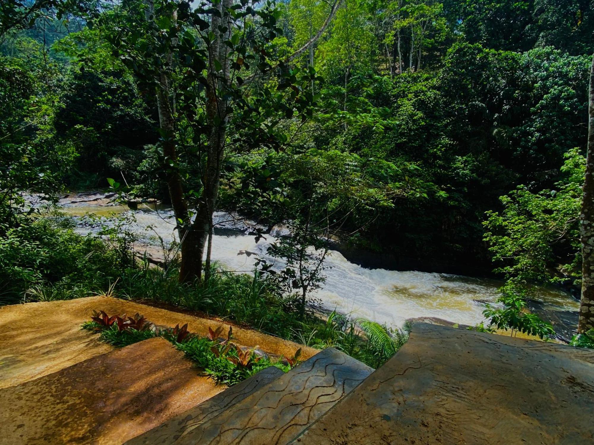 The Rainforest Hideaway 데니야야 외부 사진