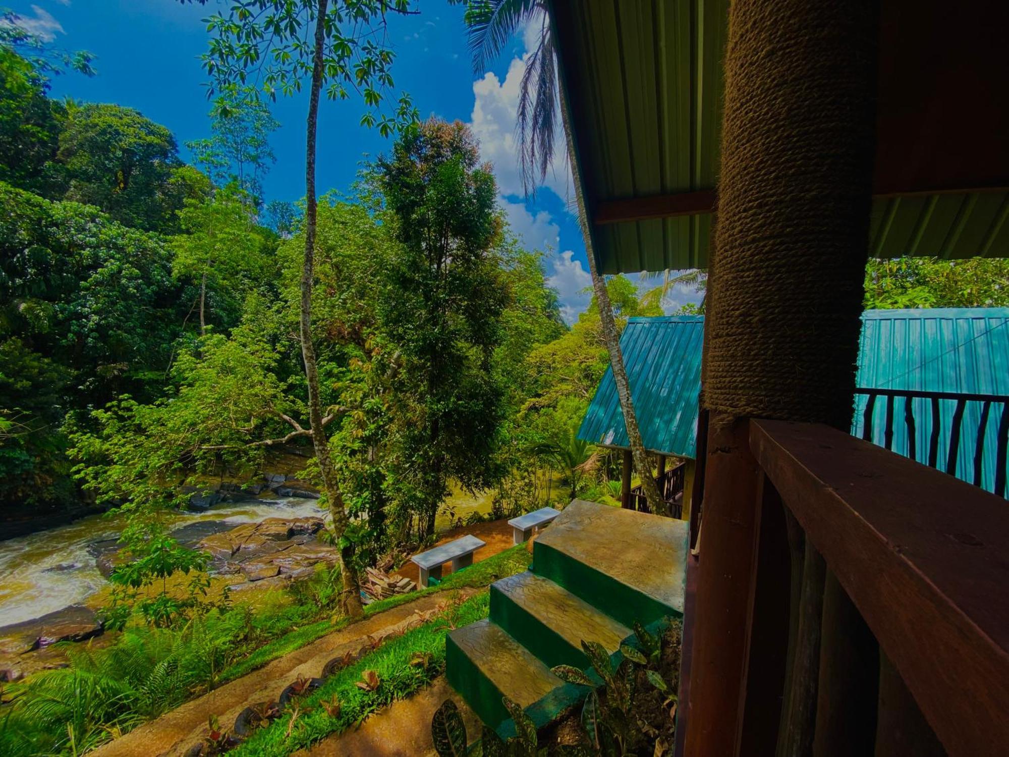 The Rainforest Hideaway 데니야야 외부 사진