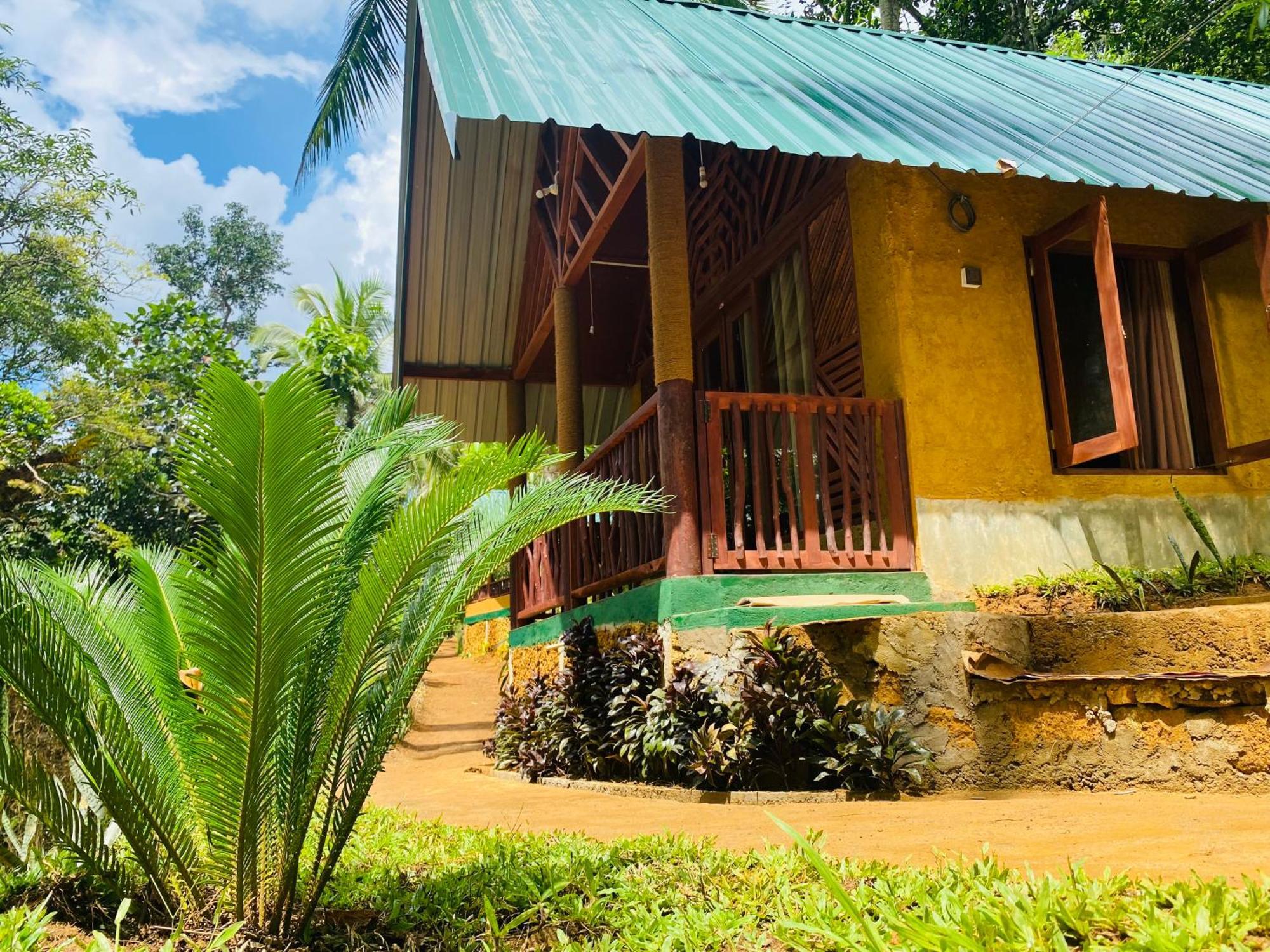 The Rainforest Hideaway 데니야야 외부 사진
