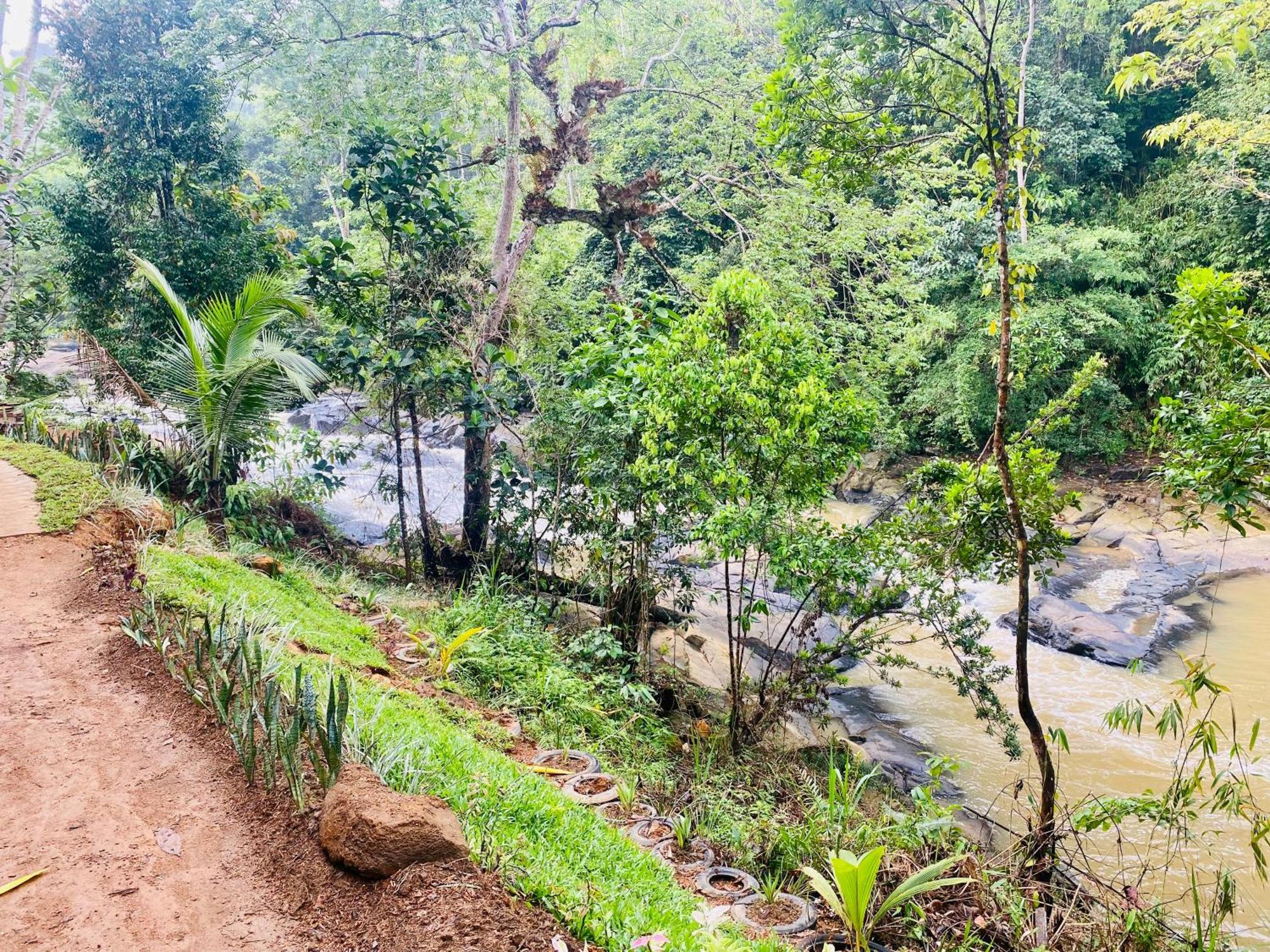 The Rainforest Hideaway 데니야야 외부 사진